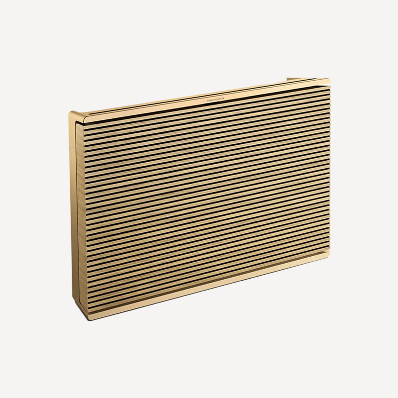 Beosound Level