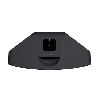Bluesound PULSE MINI 2i